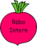 RäbaIntern